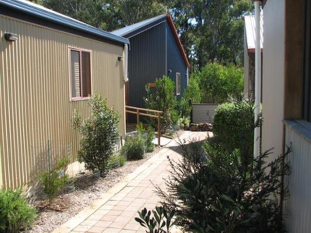 Derwent Bridge Chalets & Studios Quarto foto